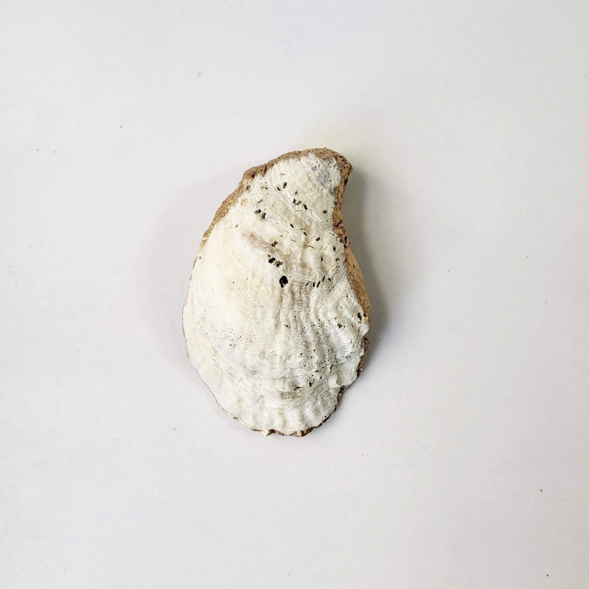 French Script Oyster Dish - The Gilded Witch