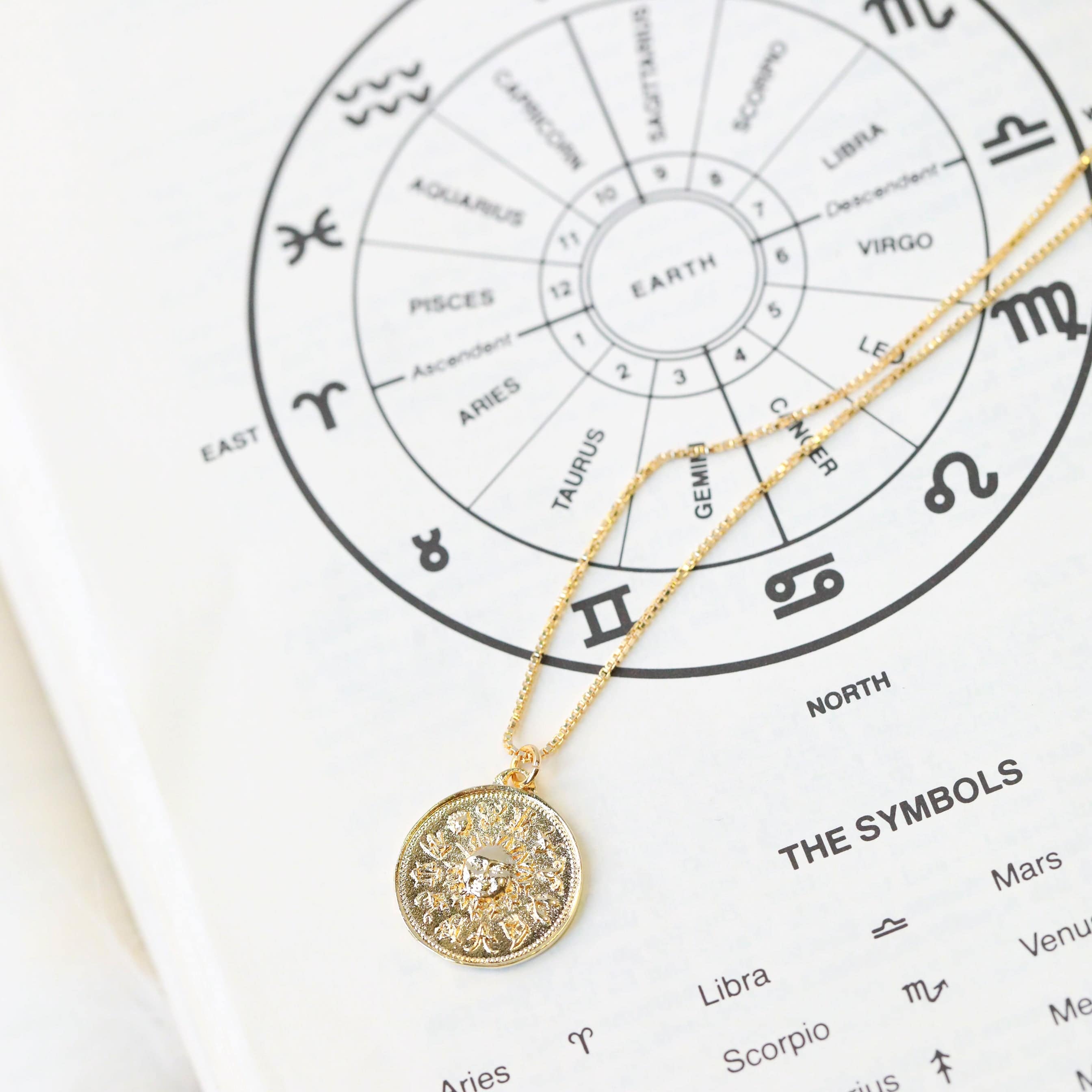 The Zodiac Wheel Necklace - The Gilded Witch