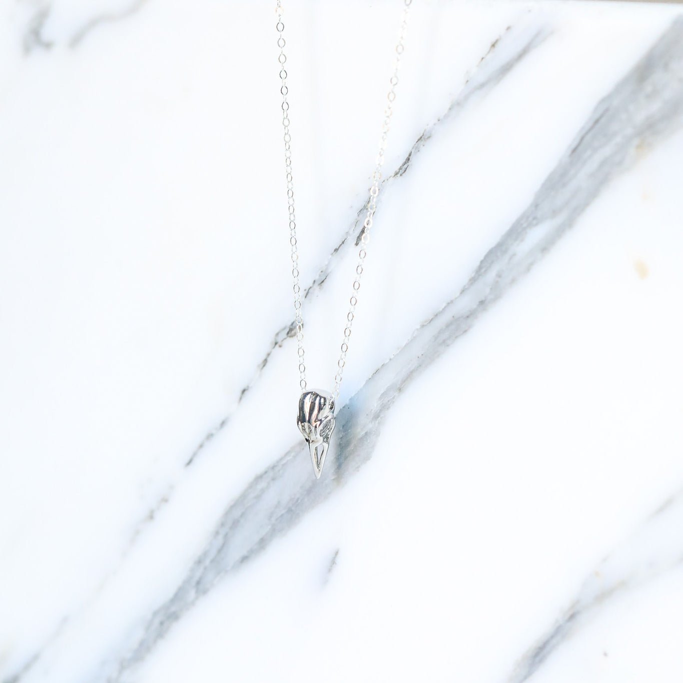 Raven Skull Necklace